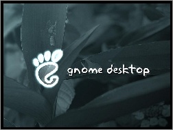 stopa, liście, Gnome